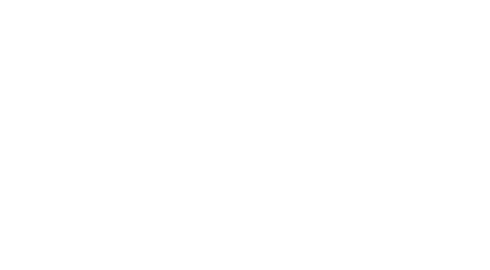 Der Mittelstand. BVMW