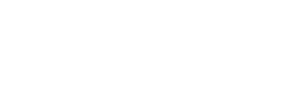 Wirtschaftsrat der CDU e.V.